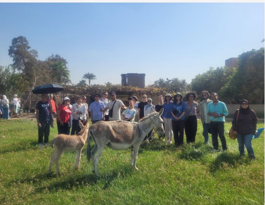 Qursaya Island – group in agricultural field with donkeys Photo: Merham Keleg and Zannah Matson Copyright: Landscape Research Group