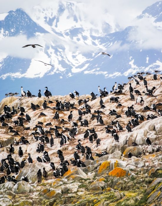 Beagle Channel, Ushuaia, Argentina